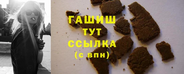 амф Горняк