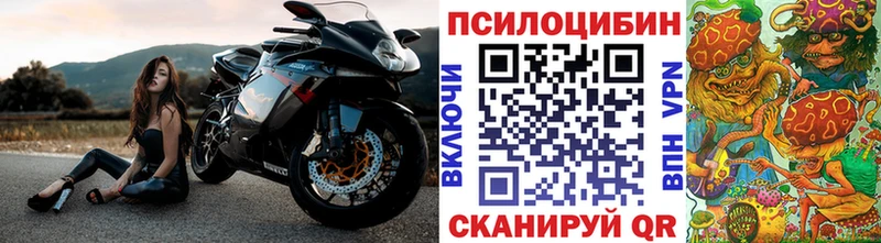 цена   MEGA маркетплейс  Галлюциногенные грибы Psilocybine cubensis  Раменское 