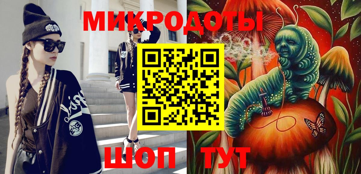 Галлюциногенные грибы Psilocybe Раменское
