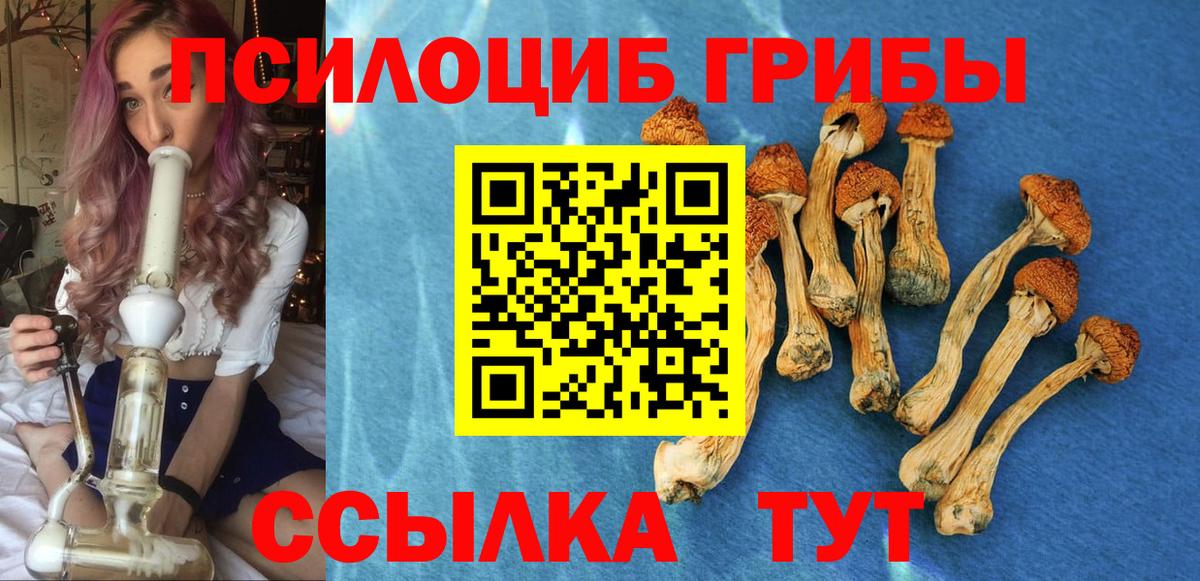 Галлюциногенные грибы Cubensis  Псилоцибиновые грибы MAGIC MUSHROOMS  Вход с VPN  Раменское 