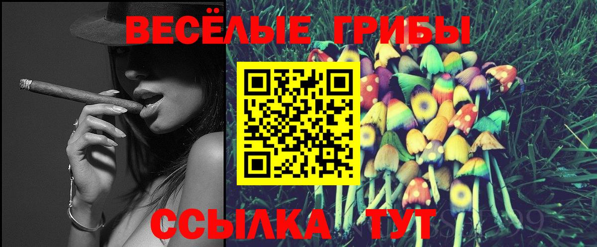 Галлюциногенные грибы прущие грибы  закладки  Раменское 